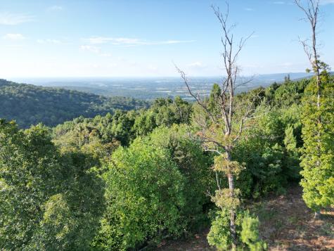 0 Box House Road Belvidere TN 37306