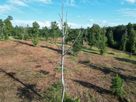 0 Box House Road Belvidere TN 37306