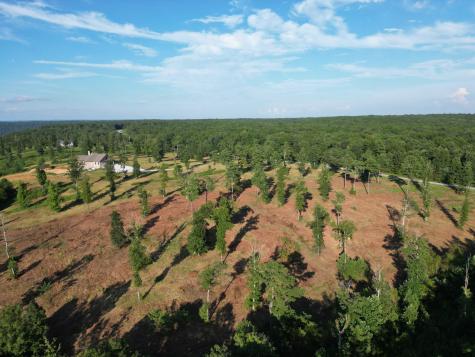 0 Box House Road Belvidere TN 37306