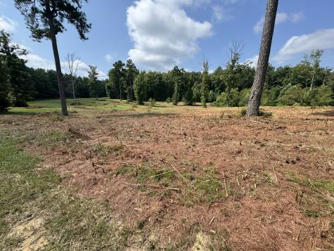 0 Box House Road Belvidere TN 37306