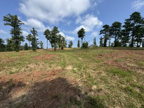 0 Box House Road Belvidere TN 37306