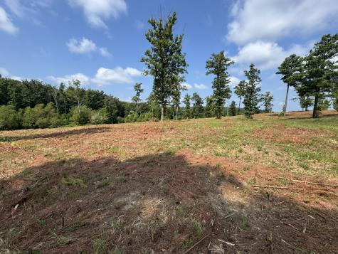 0 Box House Road Belvidere TN 37306