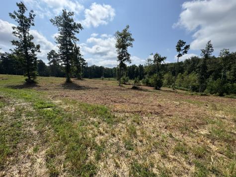 0 Box House Road Belvidere TN 37306