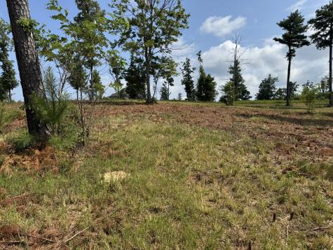 0 Box House Road Belvidere TN 37306