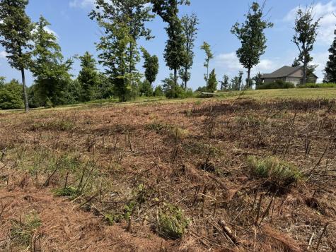 0 Box House Road Belvidere TN 37306