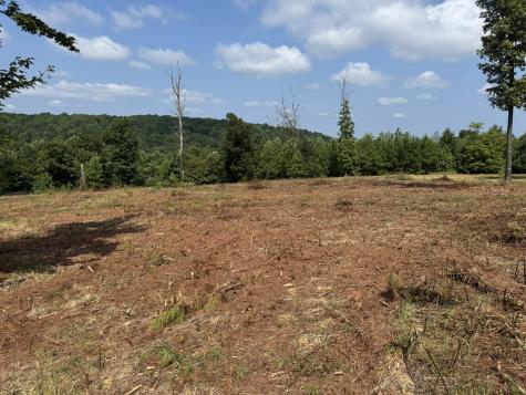 0 Box House Road Belvidere TN 37306