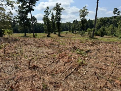 0 Box House Road Belvidere TN 37306