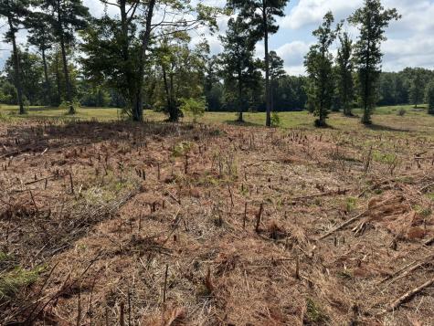 0 Box House Road Belvidere TN 37306