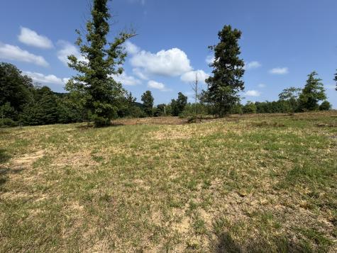 0 Box House Road Belvidere TN 37306