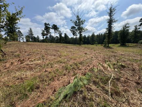 0 Box House Road Belvidere TN 37306