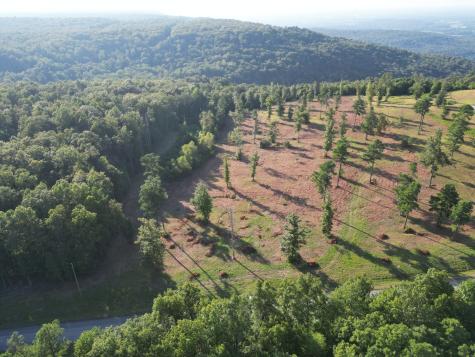 0 Box House Road Belvidere TN 37306