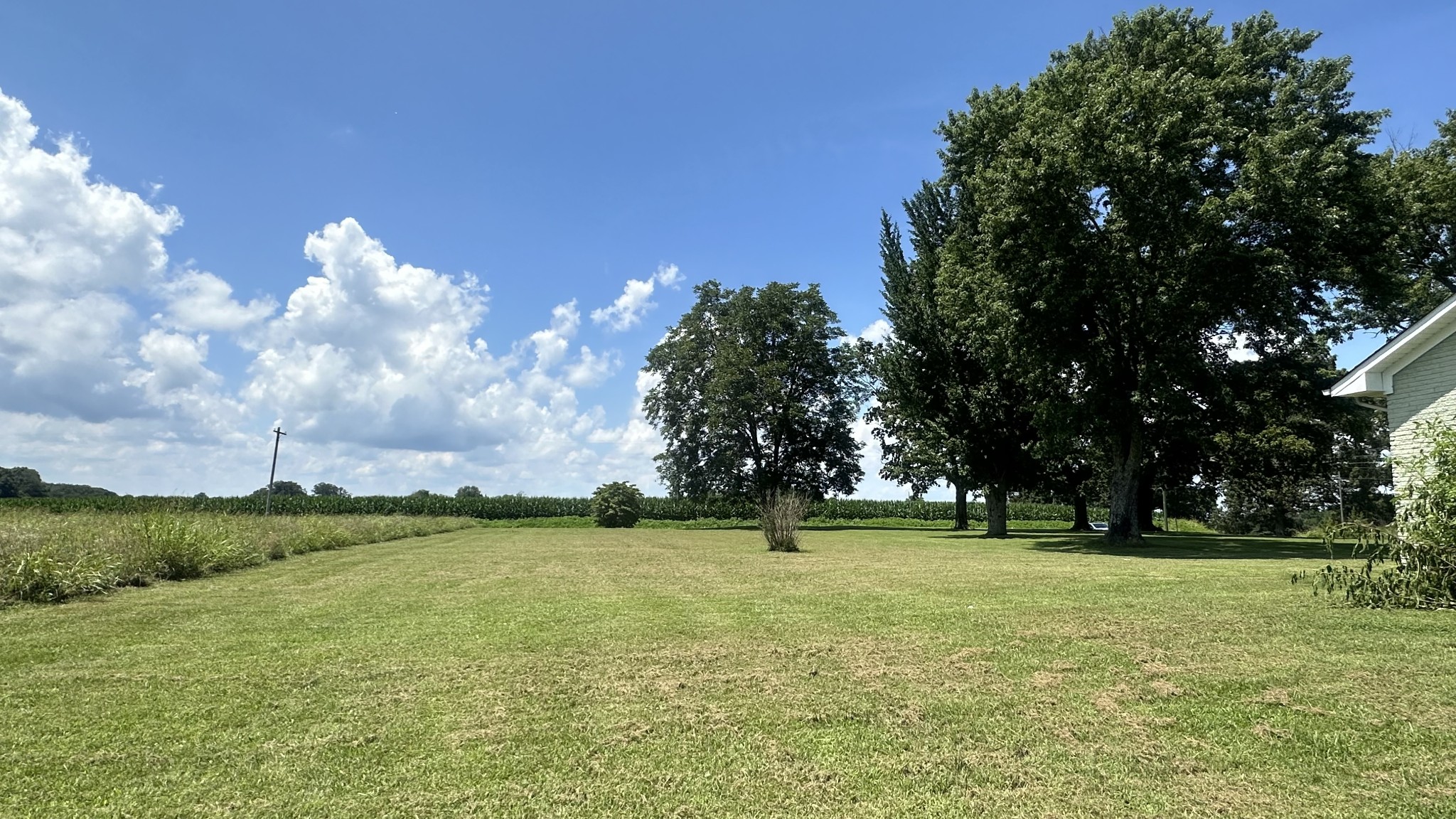 244 Old Jackson Highway Loretto TN 38469