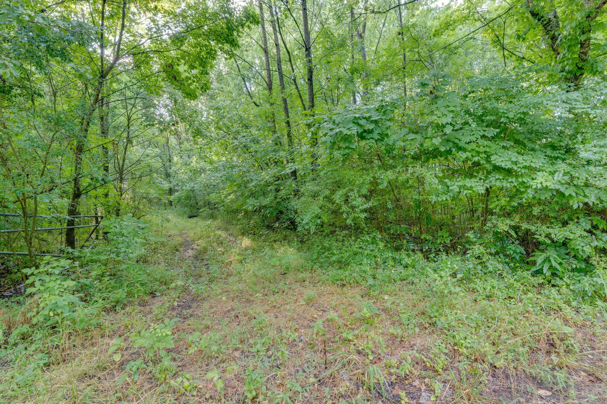 0 Patton Branch Road Goodlettsville TN 37072