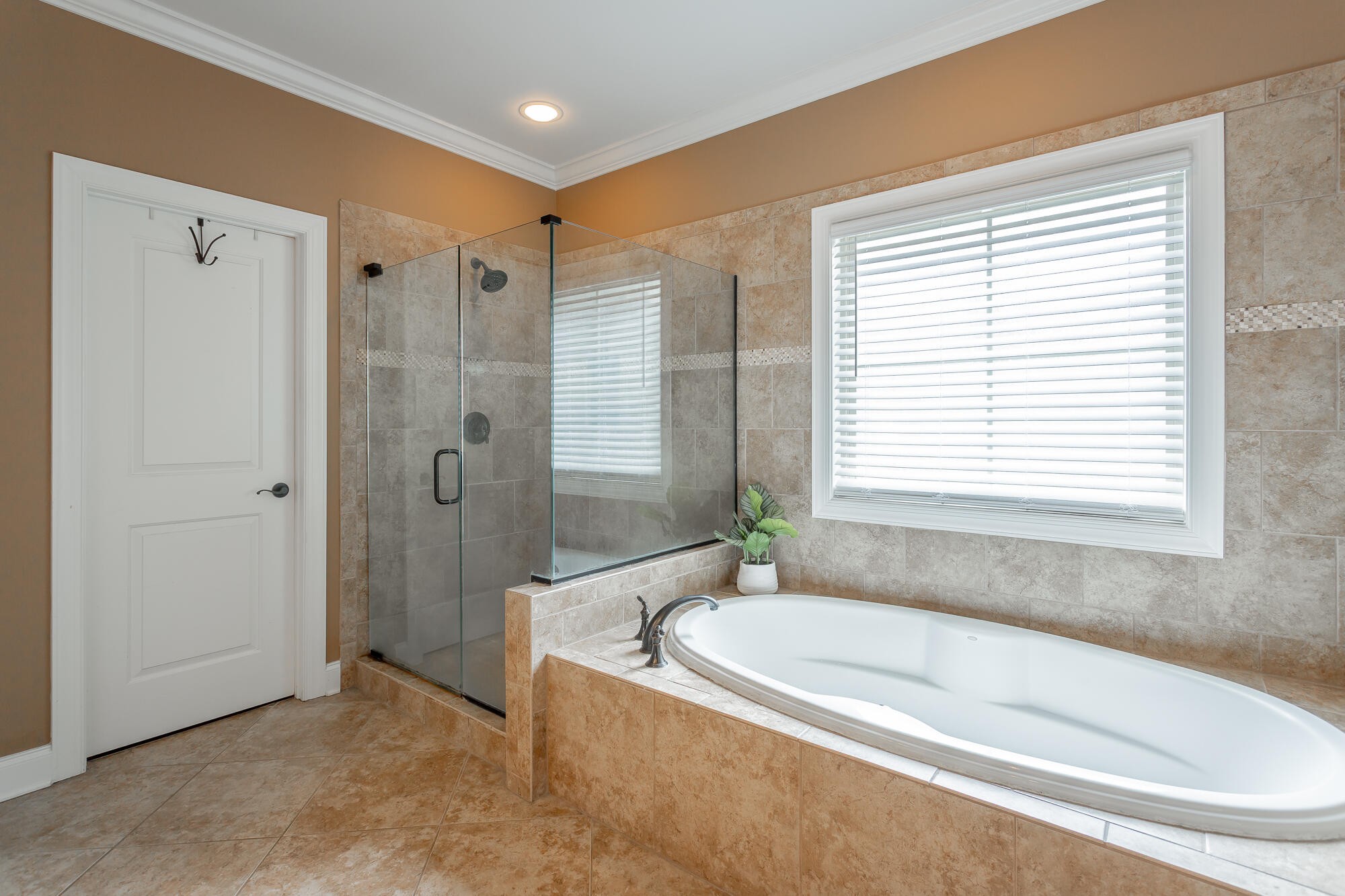 10642 Harlow Place Apison TN 37302
