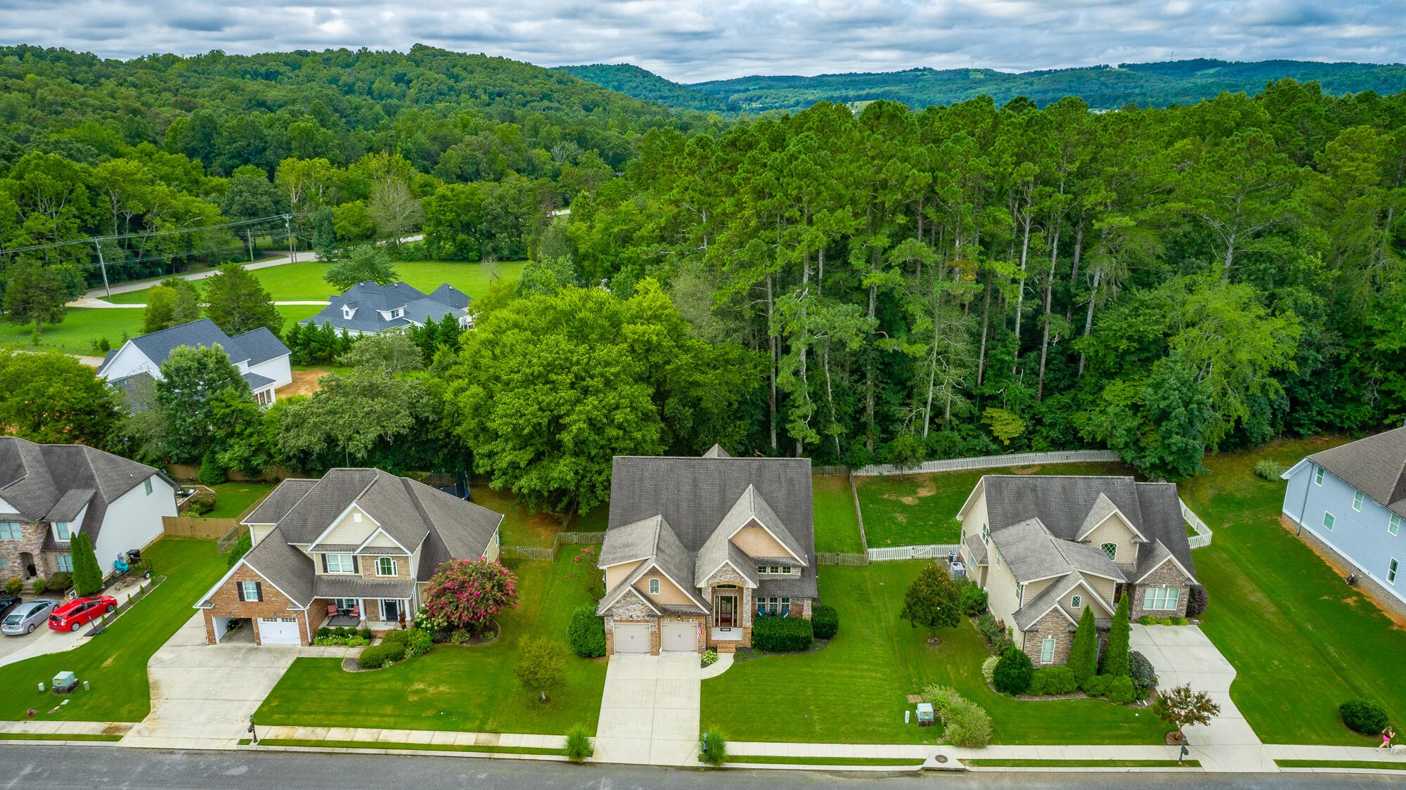 10642 Harlow Place Apison TN 37302