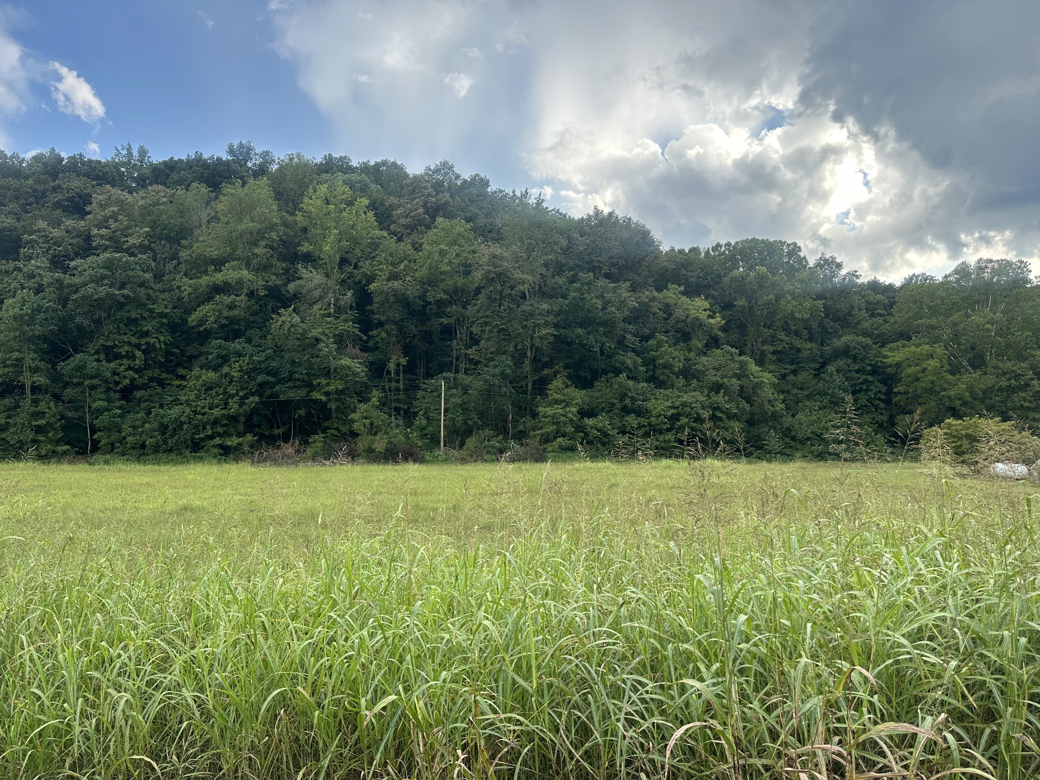 0 Lees Creek Road Fayetteville TN 37334