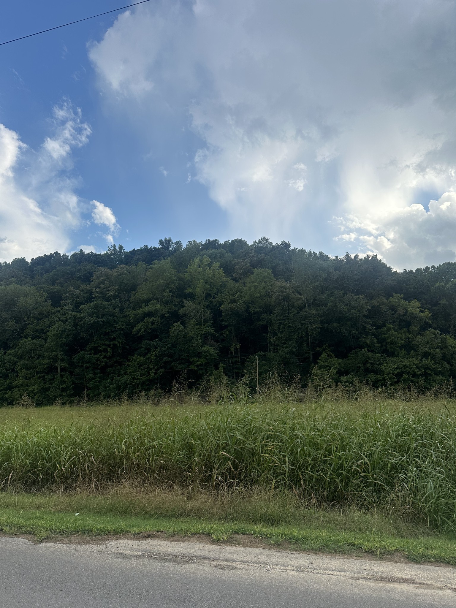 0 Lees Creek Road Fayetteville TN 37334