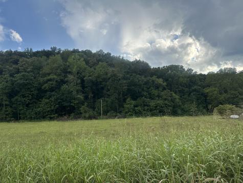 0 Lees Creek Road Fayetteville TN 37334