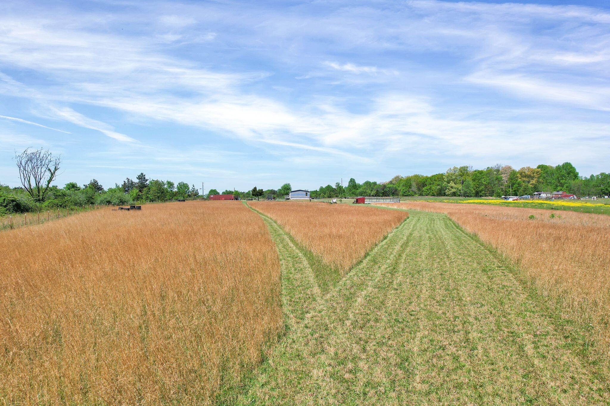 330 Blueberry Acres Dayton TN 37321