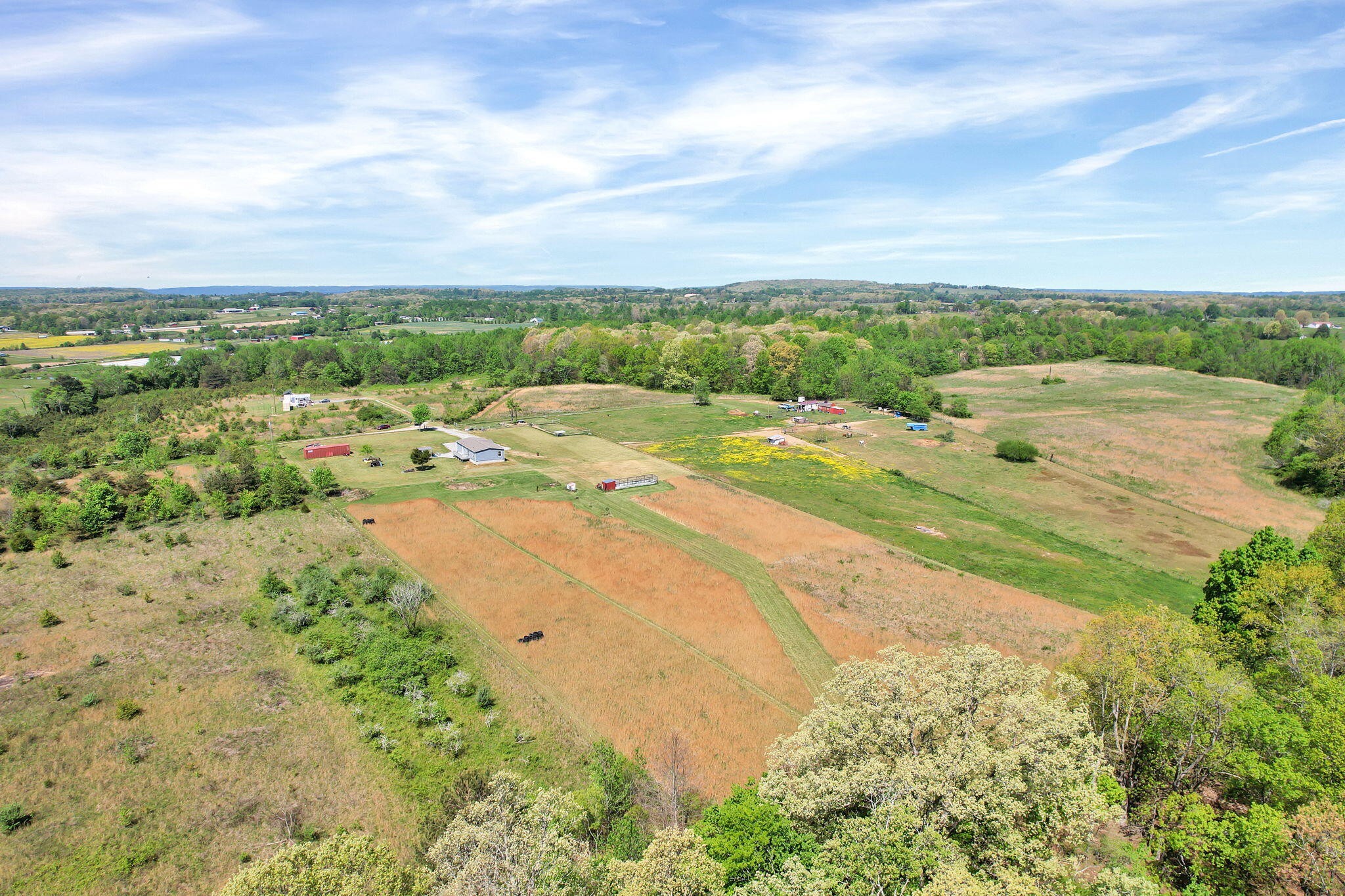 330 Blueberry Acres Dayton TN 37321