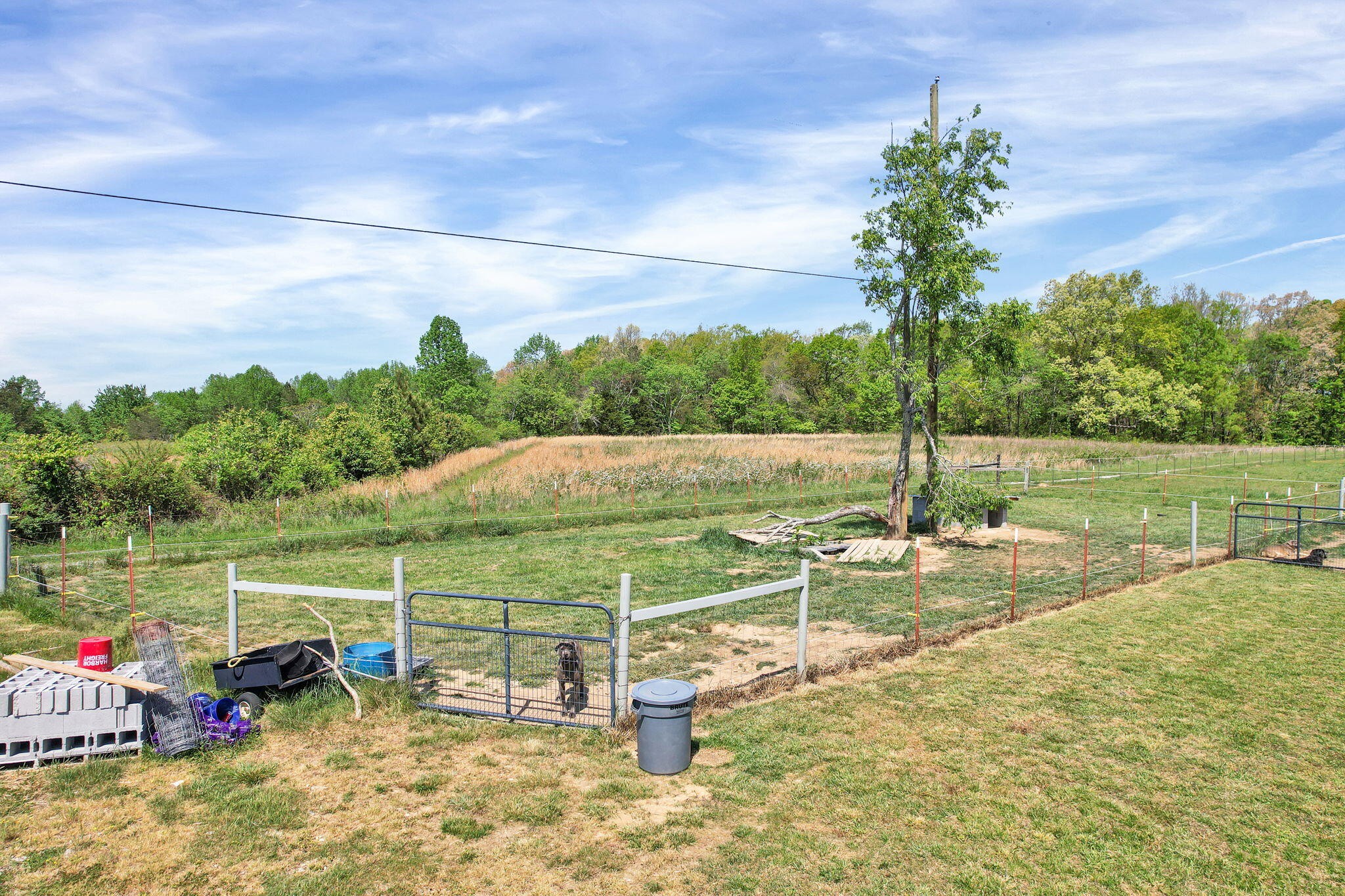 330 Blueberry Acres Dayton TN 37321