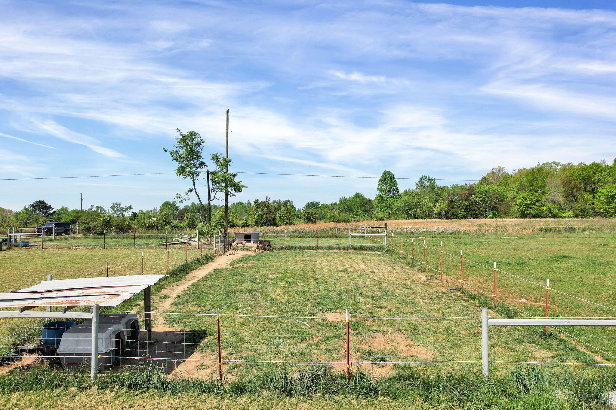 330 Blueberry Acres Dayton TN 37321