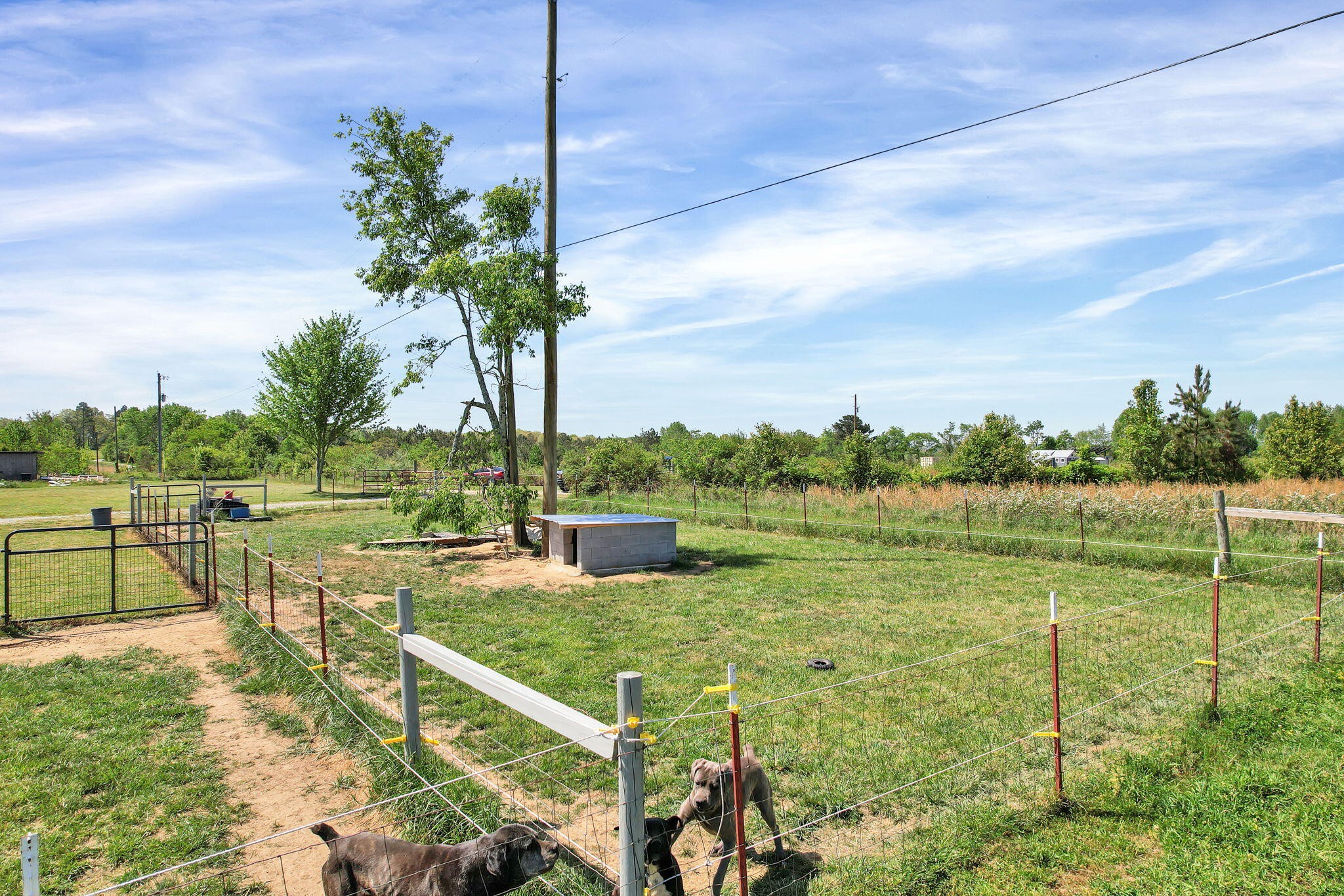 330 Blueberry Acres Dayton TN 37321