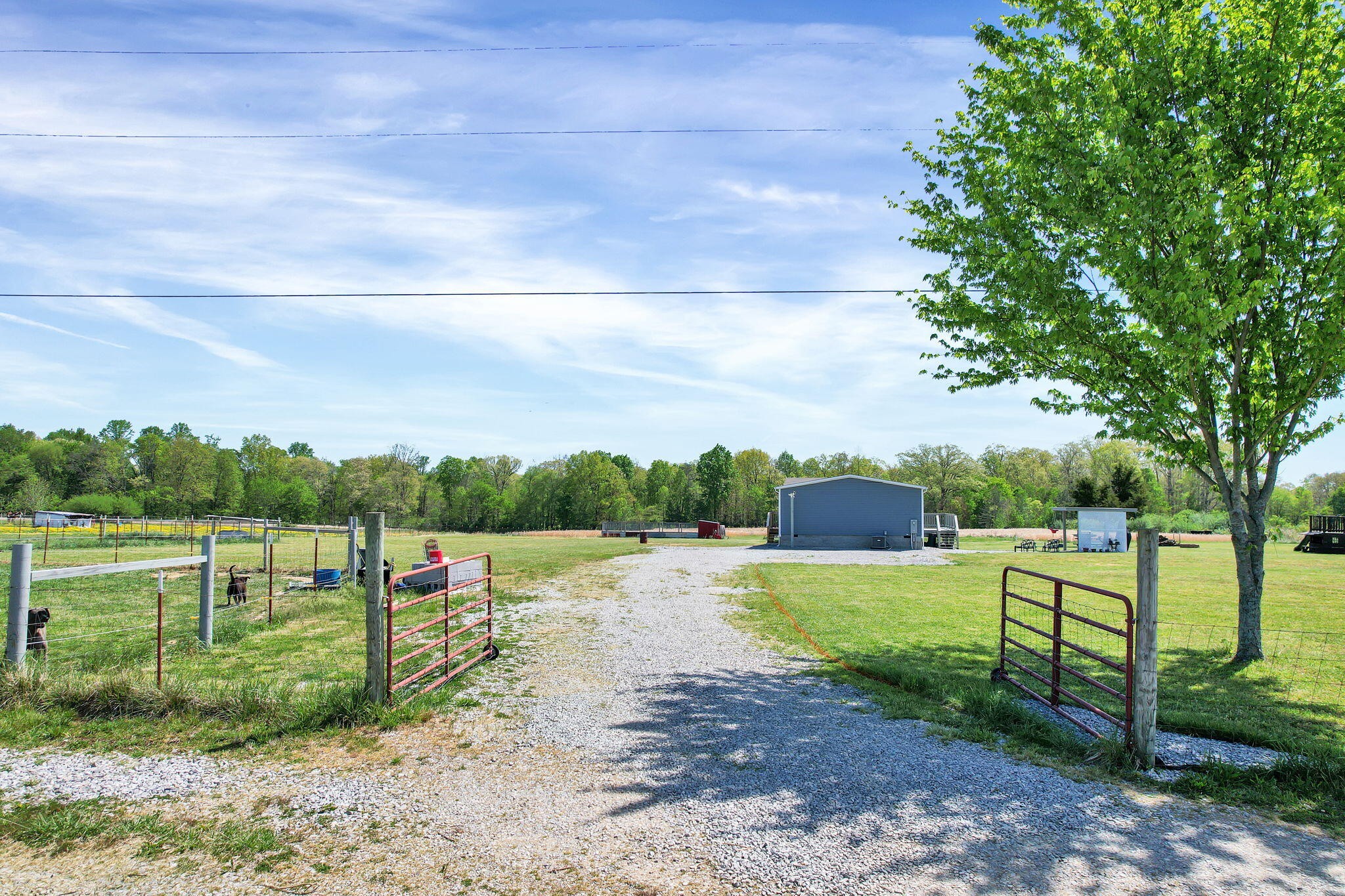 330 Blueberry Acres Dayton TN 37321