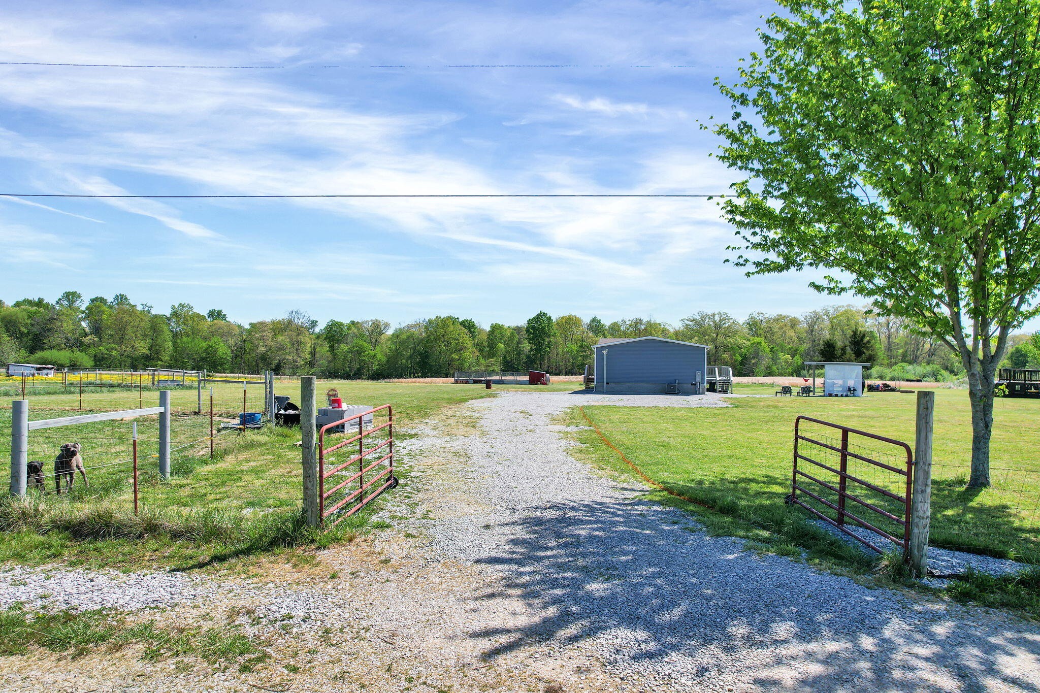 330 Blueberry Acres Dayton TN 37321