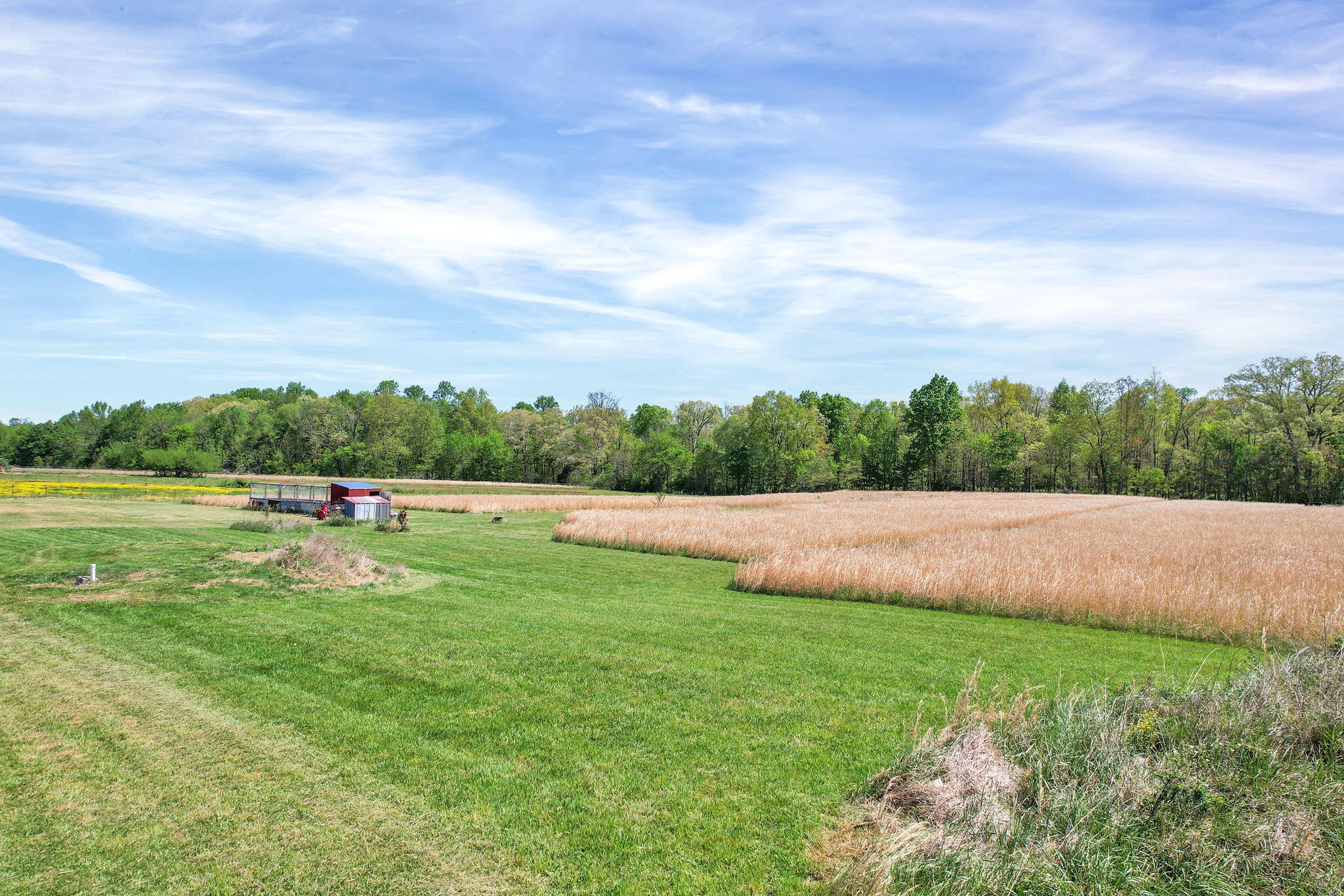 330 Blueberry Acres Dayton TN 37321