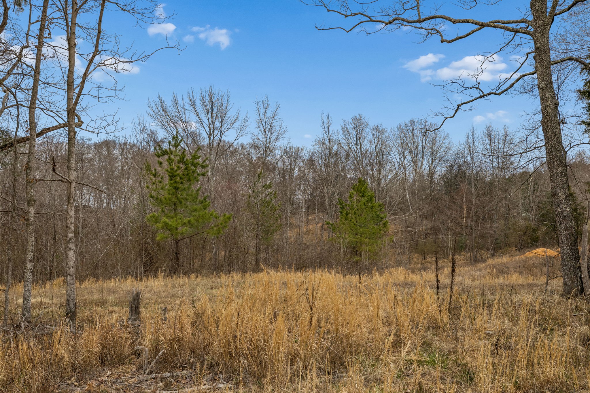 0 Mosley Ferry Road Ashland City TN 37015