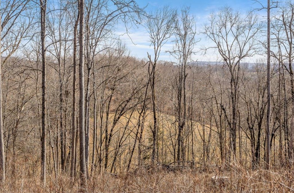 0 Forest Circle Sparta TN 38583
