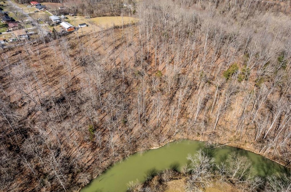0 Forest Circle Sparta TN 38583