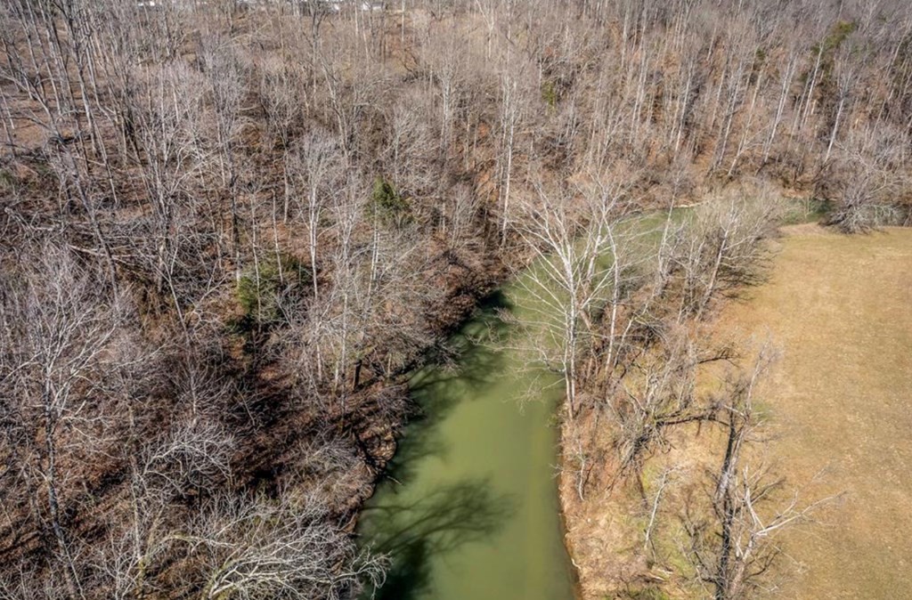 0 Forest Circle Sparta TN 38583