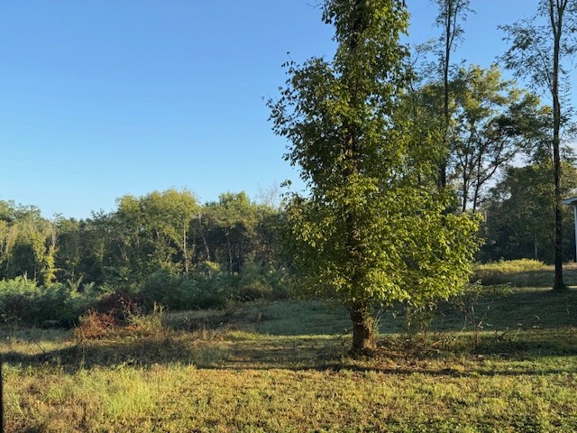 0 N Bratton Street Decherd TN 37324