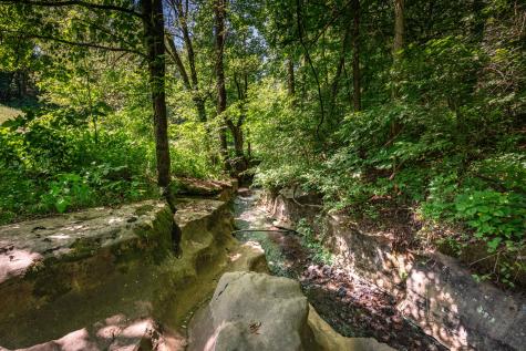37 Old Mclemore Road Taft TN 38488
