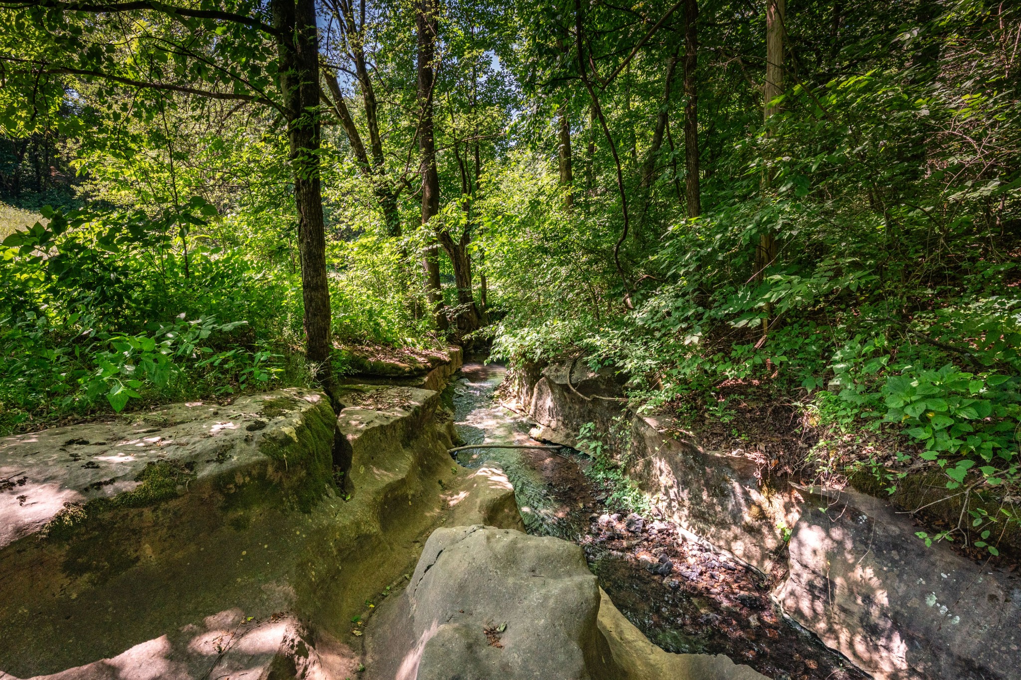 37 Old Mclemore Road Taft TN 38488