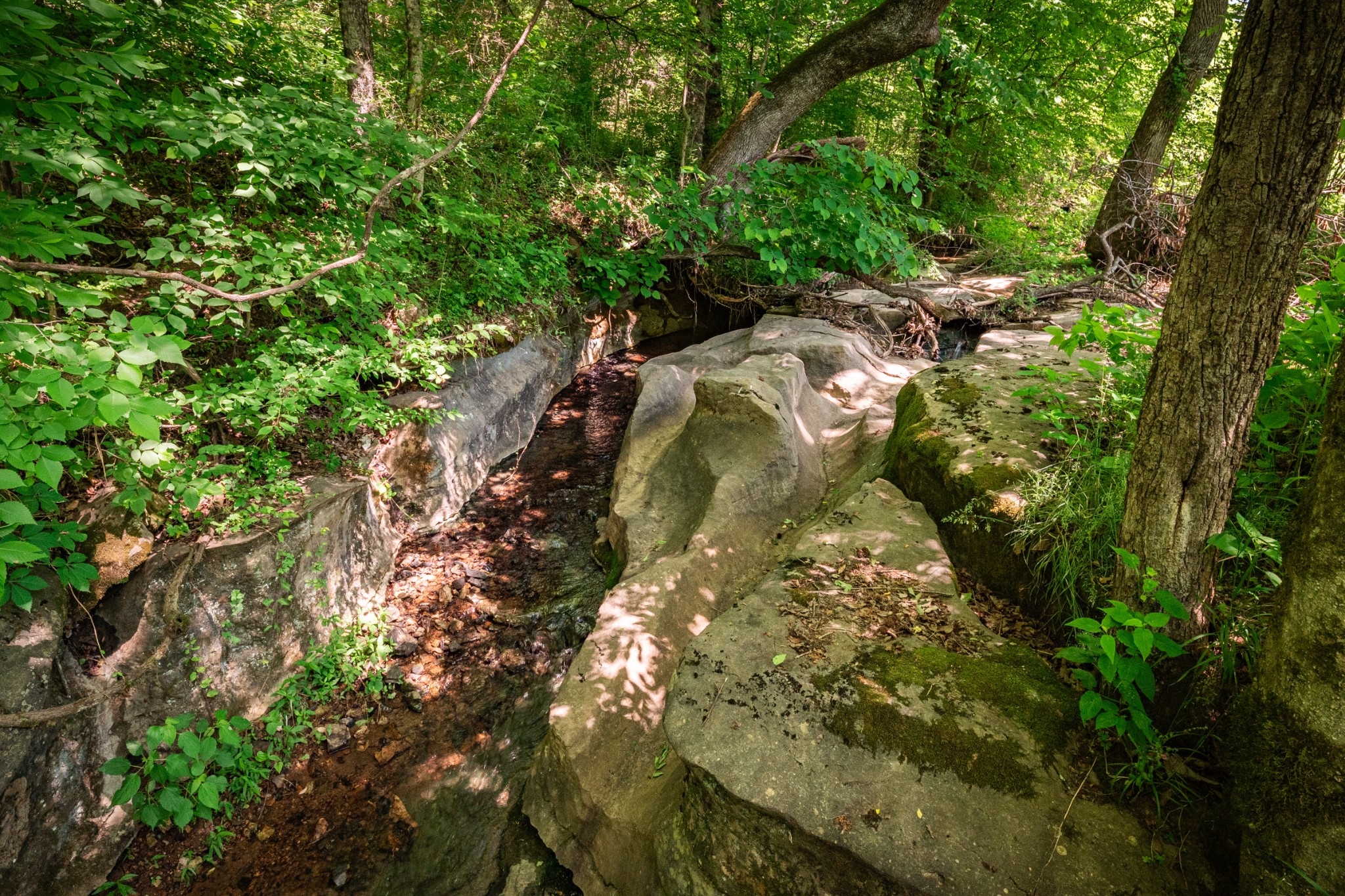 37 Old Mclemore Road Taft TN 38488