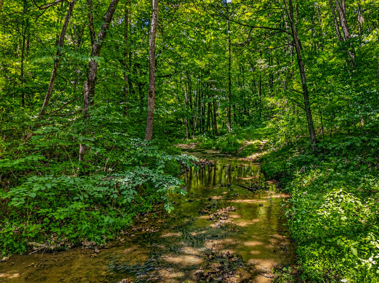 37 Old Mclemore Road Taft TN 38488