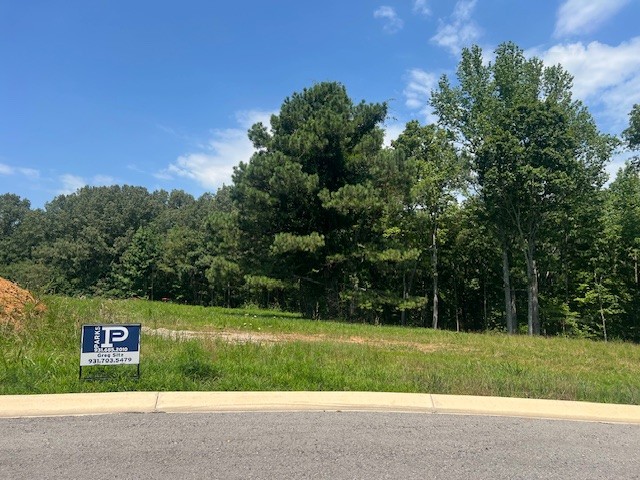 7 Summer Lake Winchester TN 37398
