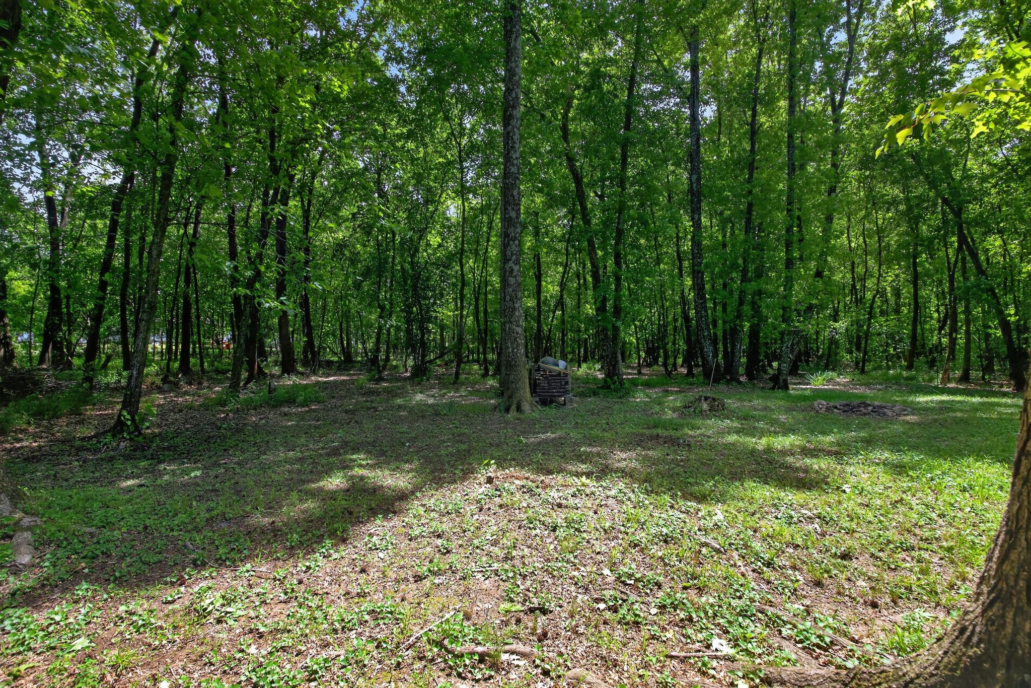 419 Woodale Drive Clarksville TN 37042