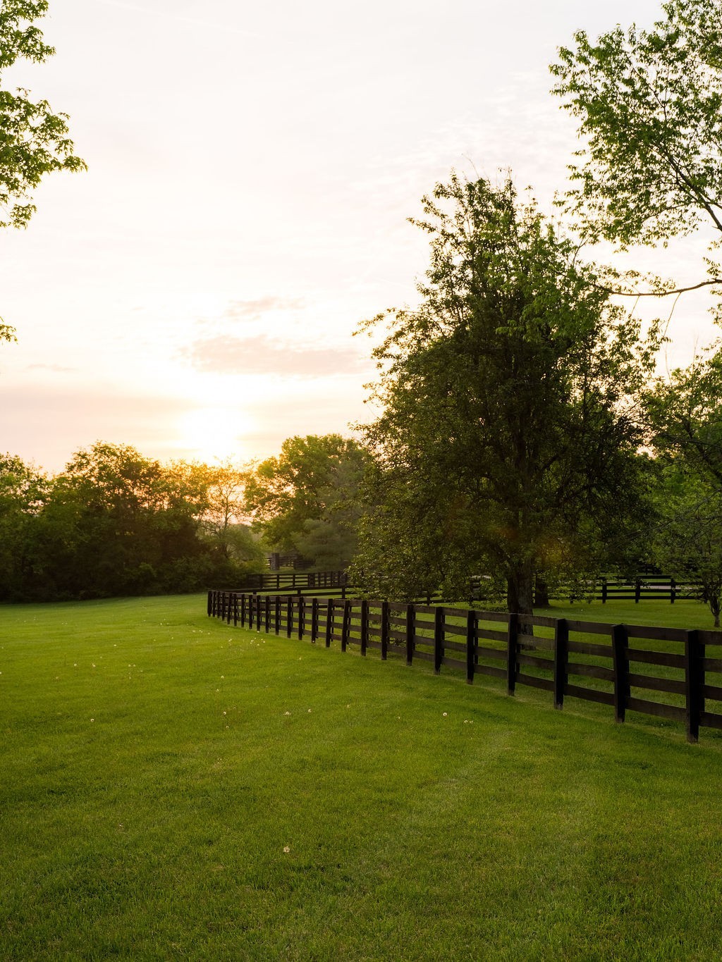 3636 Bear Creek Road Thompsons Station TN 37179