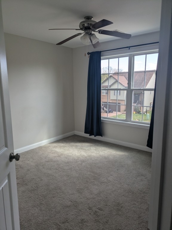 613 Snowshoe Lane Clarksville TN 37040