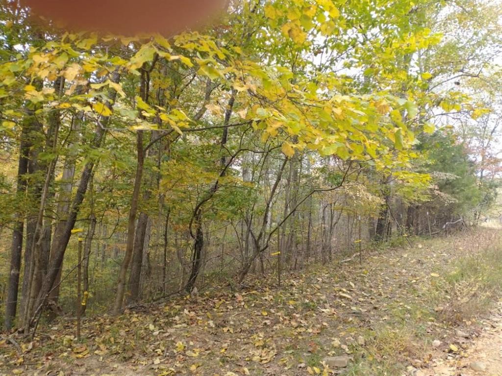 0 Little Marrowbone Road Ashland City TN 37015