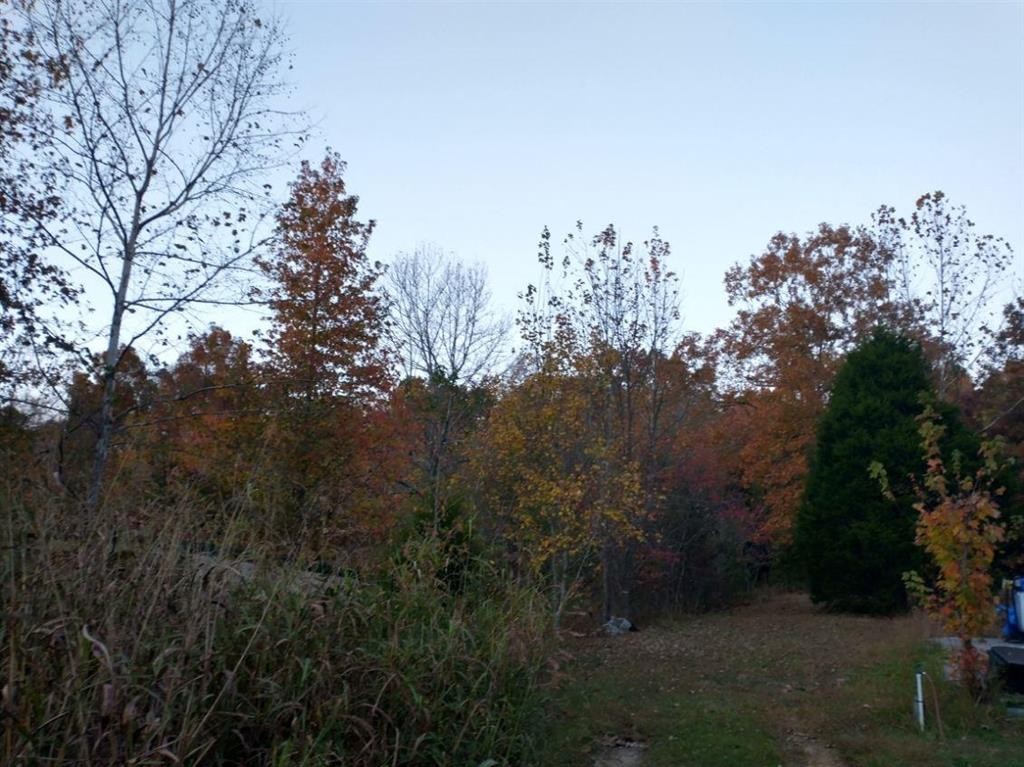 0 Little Marrowbone Road Ashland City TN 37015