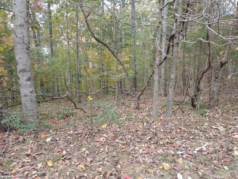 0 Little Marrowbone Road Ashland City TN 37015