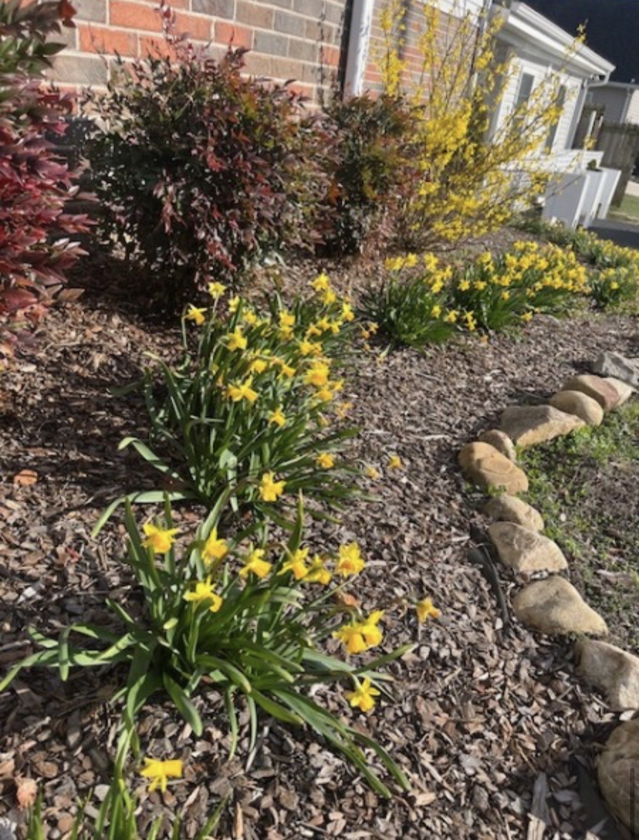 202 Allendale Boulevard Mcminnville TN 37110