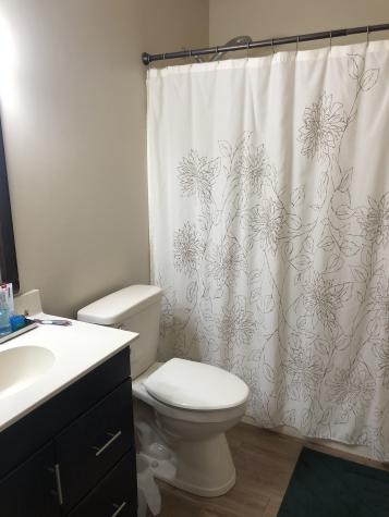 209 Fischer Drive White House TN 37188