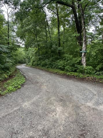 0 Gunson Ridge Road Cumberland City TN 37050