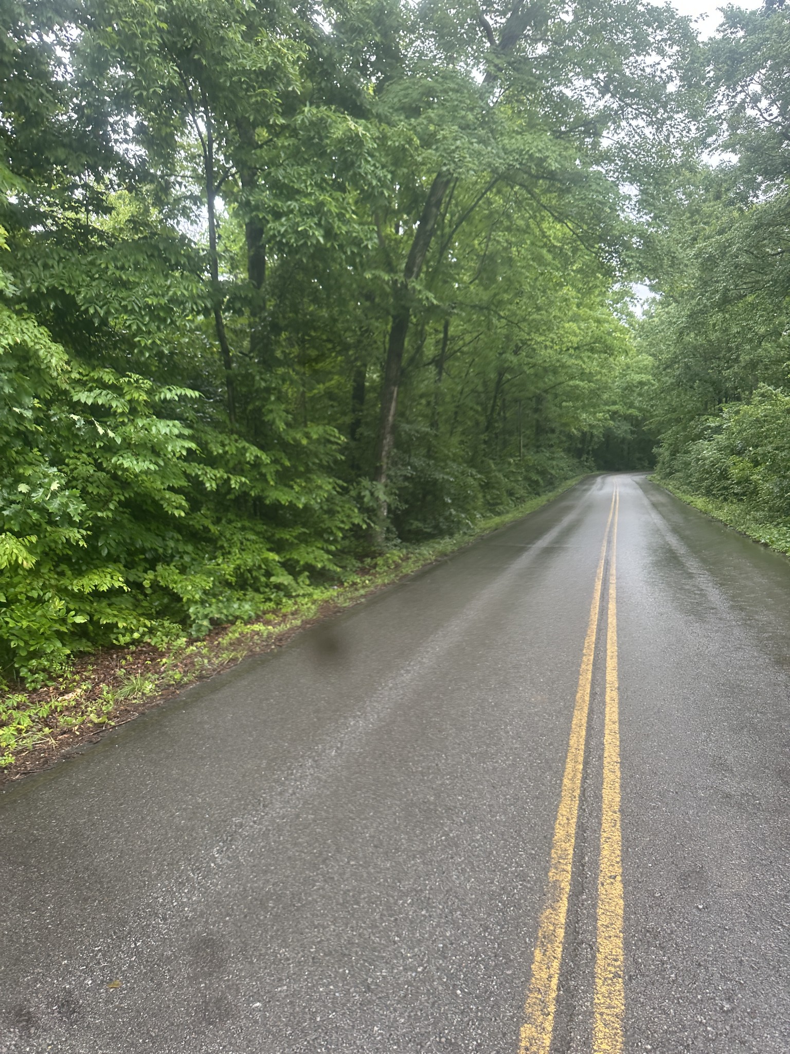 0 Gunson Ridge Road Cumberland City TN 37050